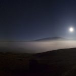 Gone with the Fog
