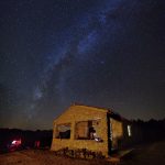 Nerpio Nights