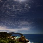 Moon Cypress