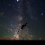 Bokeh II