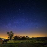 Stargrazing