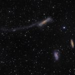Leo Triplet