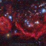 Orions Blush