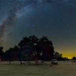 The Oak Tree at Calstar