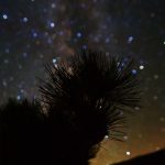 Night Focus