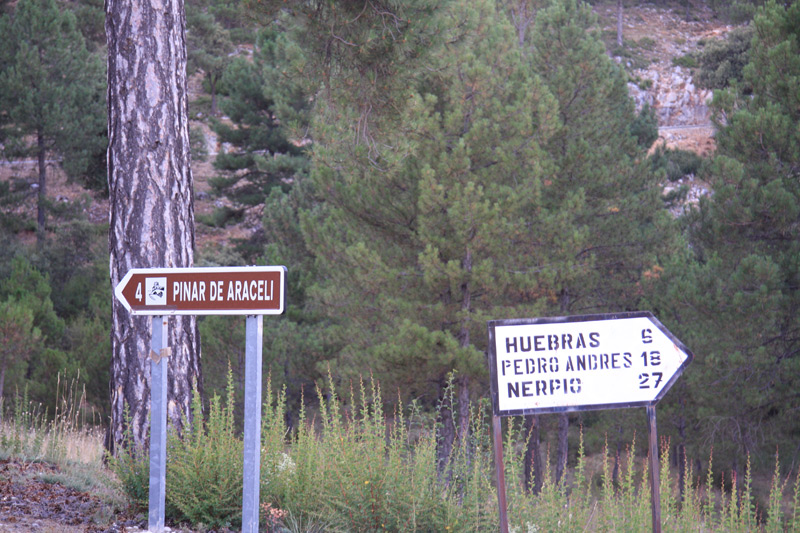 PDA2011_Road2