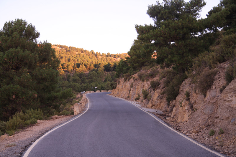 PDA2011_Road4