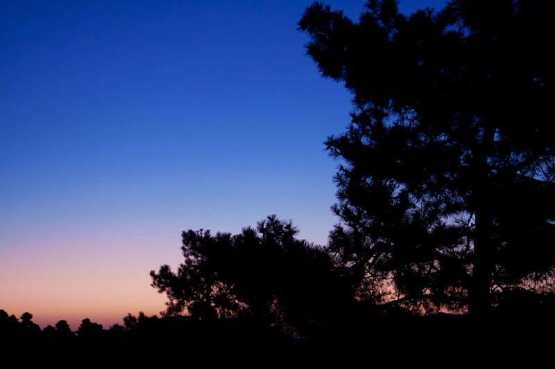 PDA2011_View1